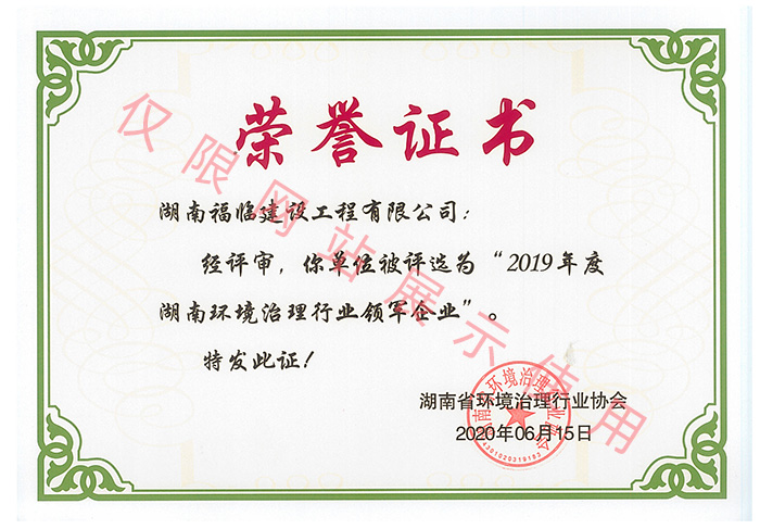 湖南省環(huán)境治理行業(yè)協會榮譽證書
